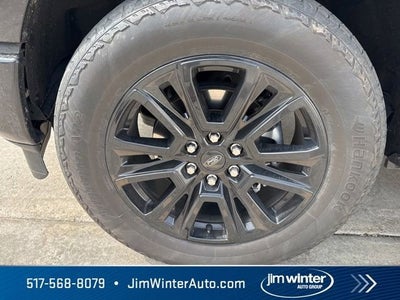 2024 Ford F-150 Platinum